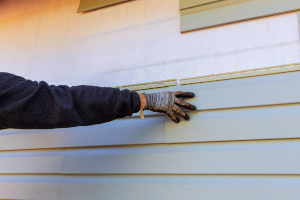 Affordable Siding Repair and Maintenance Services in Goldsboro, NC